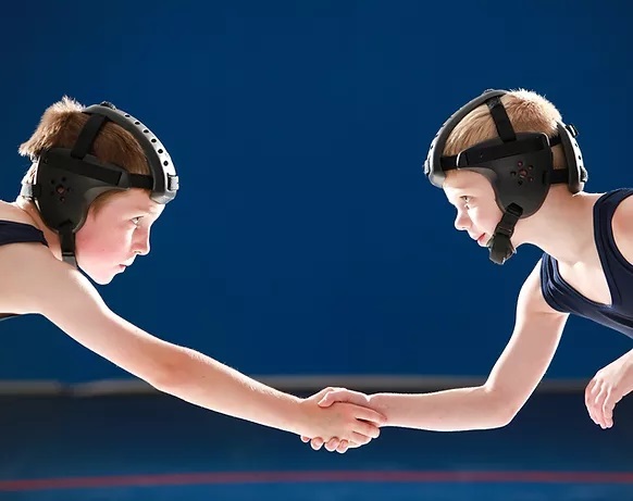 французский бокс сават <br>