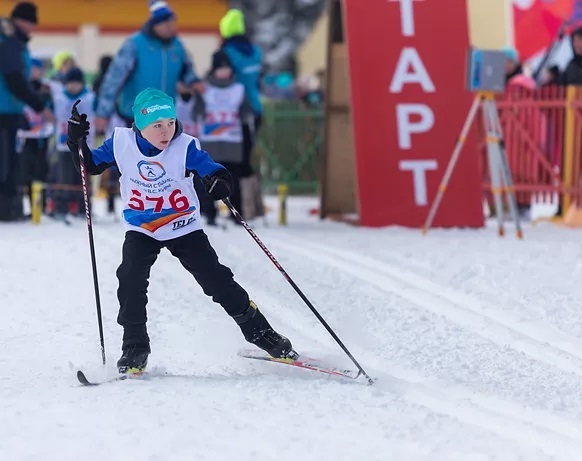 Лыжные гонки<br>