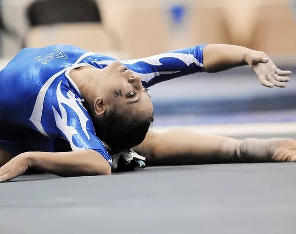 Художественная гимнастика<br>